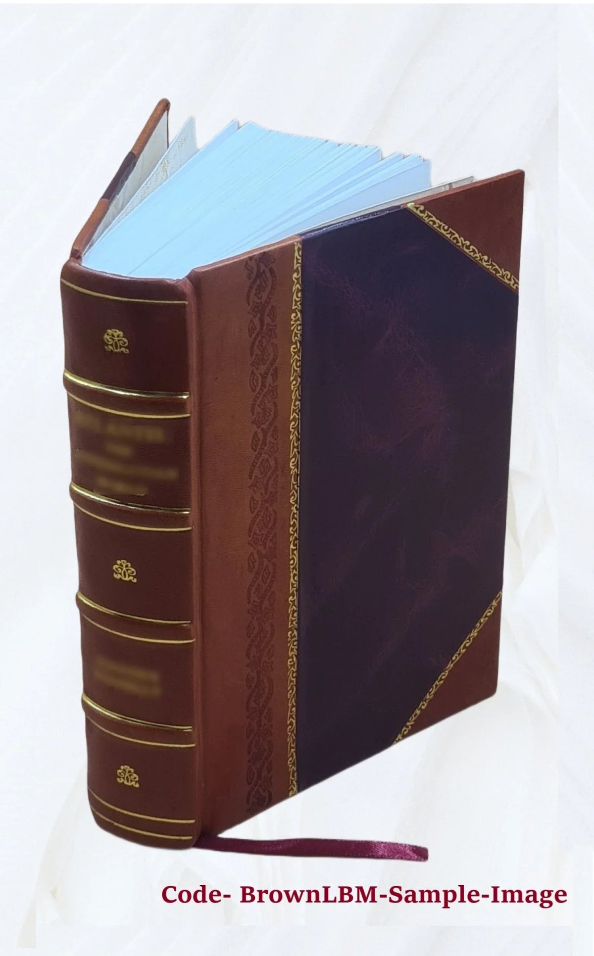 Euthymii monachi Zigabeni Orthodoxae fidei dogmatica Panoplia, hucusque latinis incognita [et] / nunc primum per Petrum Franciscum Zinum ... e graeco translata ... 1577 [Leather Bo