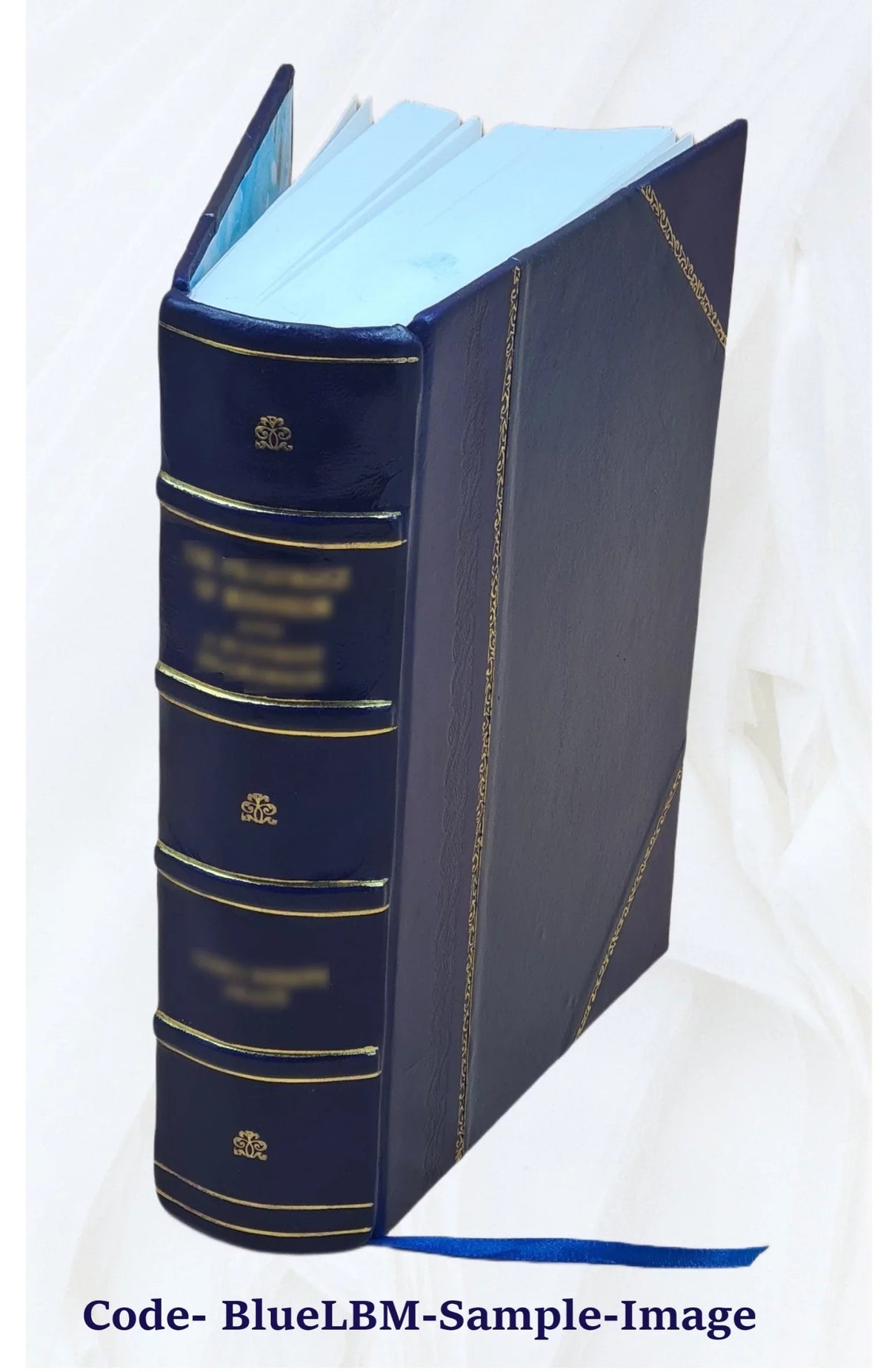 Dictionnaire turc-français : a l'usage des agents diplomatiques et consulaires, des commerçants, des navigateurs, et autres voyageurs dans le Levant Volume 2 1837 [Leather Bound]
