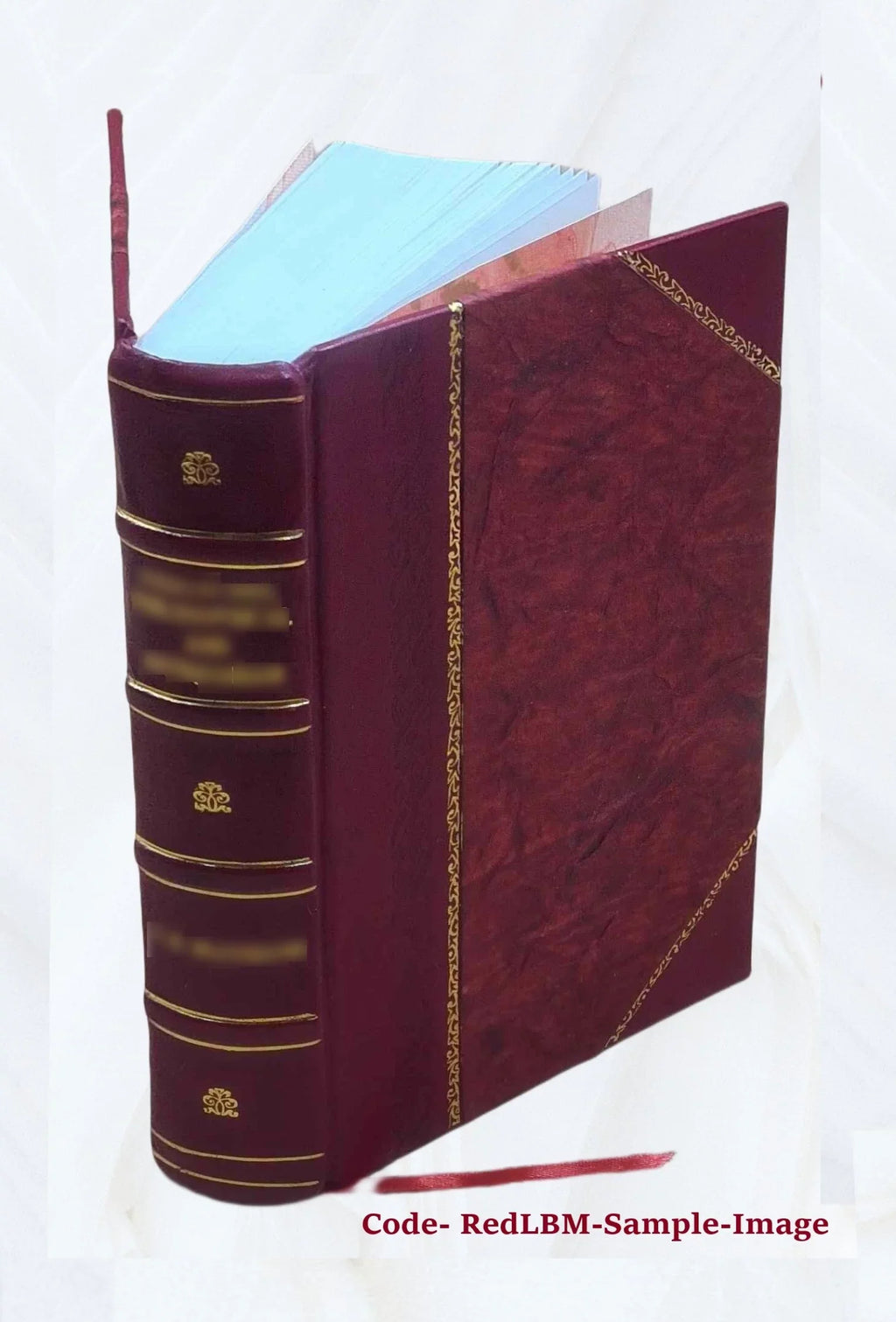 A treatise on the state of the currency at the present time, 1824-5 : being a full and free exposition of the erroneous principles of Mr. Ricardo ... showing the numberless evils n