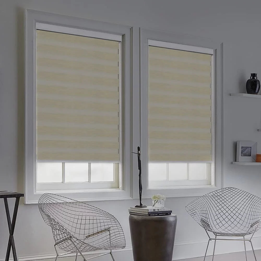 LUCKUP Zebra Blinds for Windows, Dual Layer Roller Sheer Shades Blinds for Day and Night, Light Control Window Treatments Shades with Valance Shield 29" W x 72" L, Striped Beige