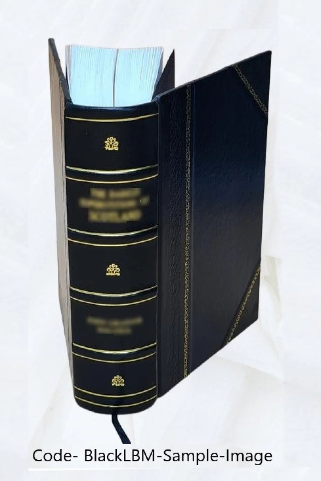 Dictionnaire turc-français : a l'usage des agents diplomatiques et consulaires, des commerçants, des navigateurs, et autres voyageurs dans le Levant Volume 2 1837 [Leather Bound]
