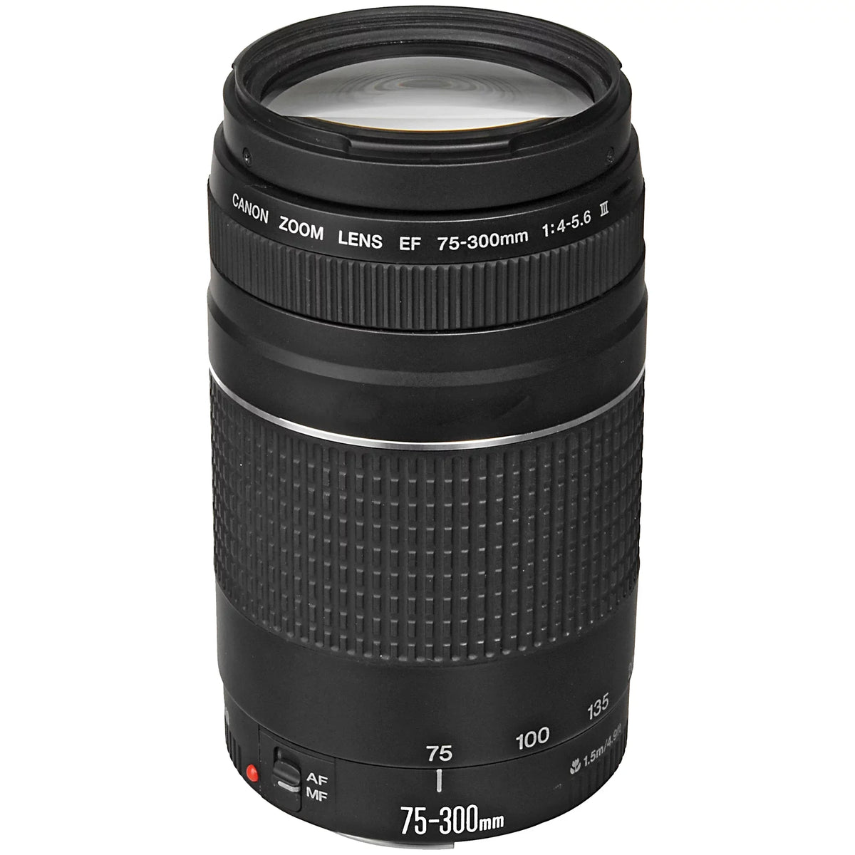 Canon EOS R6 Mirrorless Digital Camera with RF 24-105mm STM + 75-300mm Lens + Mount Adapter + 2 Pack SanDisk 32GB + ZeeTech Accessory