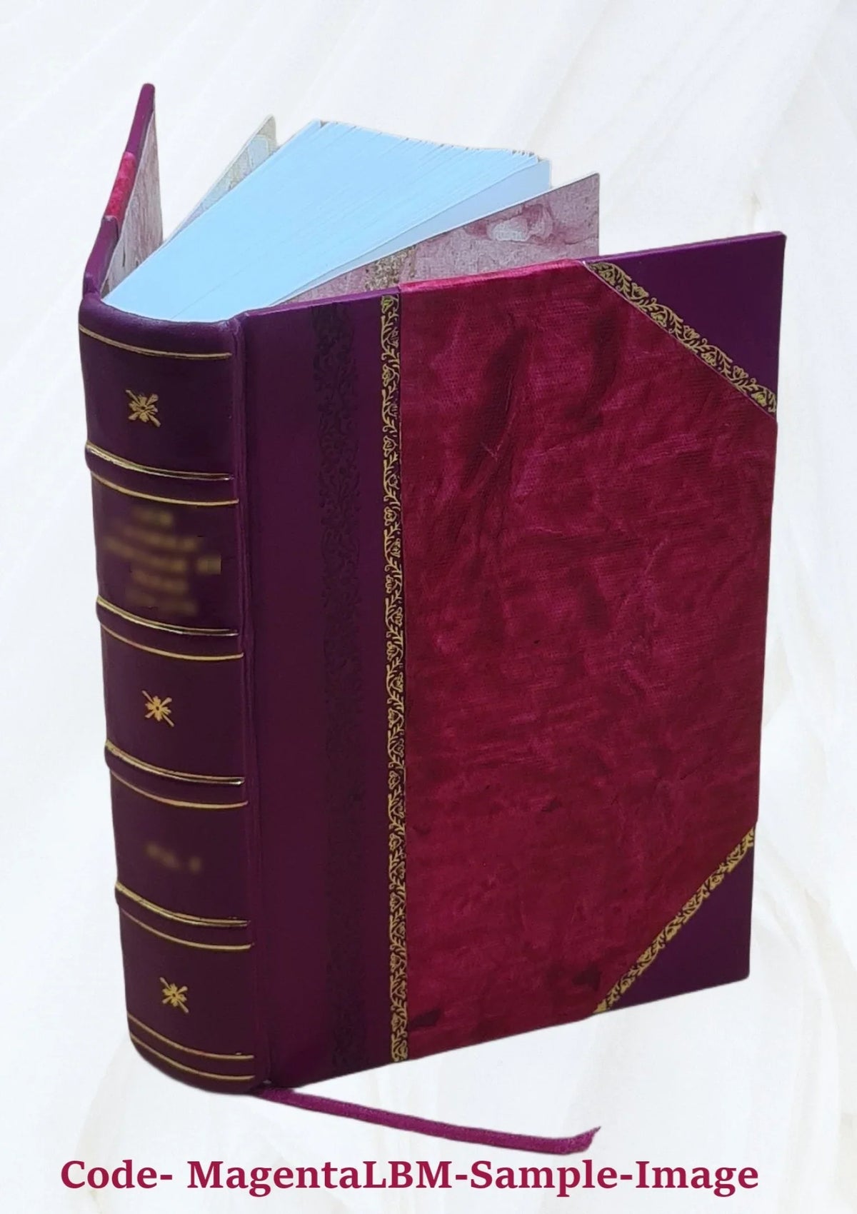 Mondo simbolico, o sia, Vniuersita' d'imprese scelte, spiegate, ed' illustrate con sentenze ed eruditioni sacre e profane 1653 [Leather Bound]