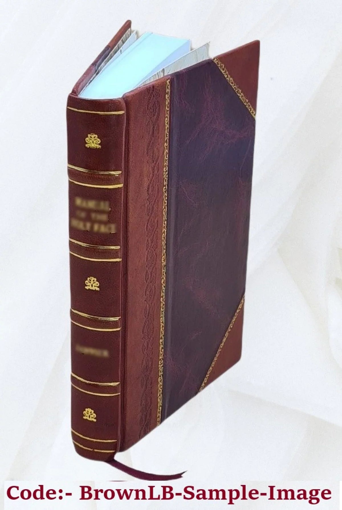 Annual report on the statistics of municipal finances for city and town fiscal years ending between ... and ... / by the Director of the Bureau of Statistics. Volume 1917-1919 1917-1919 1919 [Leather