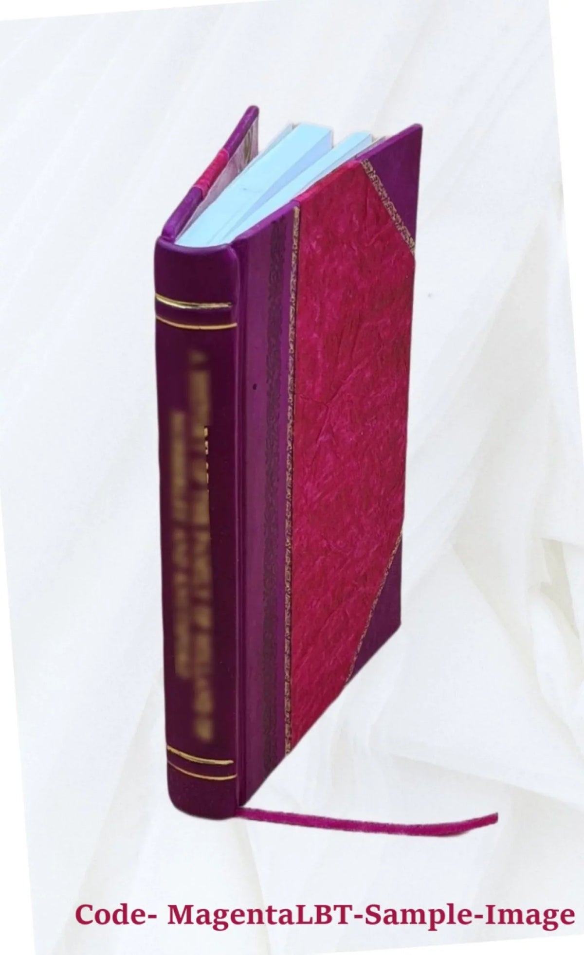 Delle relazioni intime che esistono tra la filosofia di Aristotele e le dottrine di San Tomaso e di Dante; esposizione storico-critica dell' abate Lorenzo Schiavi ... 1871 [Leather Bound]