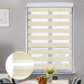 LUCKUP Zebra Blinds for Windows, Dual Layer Roller Sheer Shades Blinds for Day and Night, Light Control Window Treatments Shades with Valance Shield 29" W x 72" L, Striped Beige
