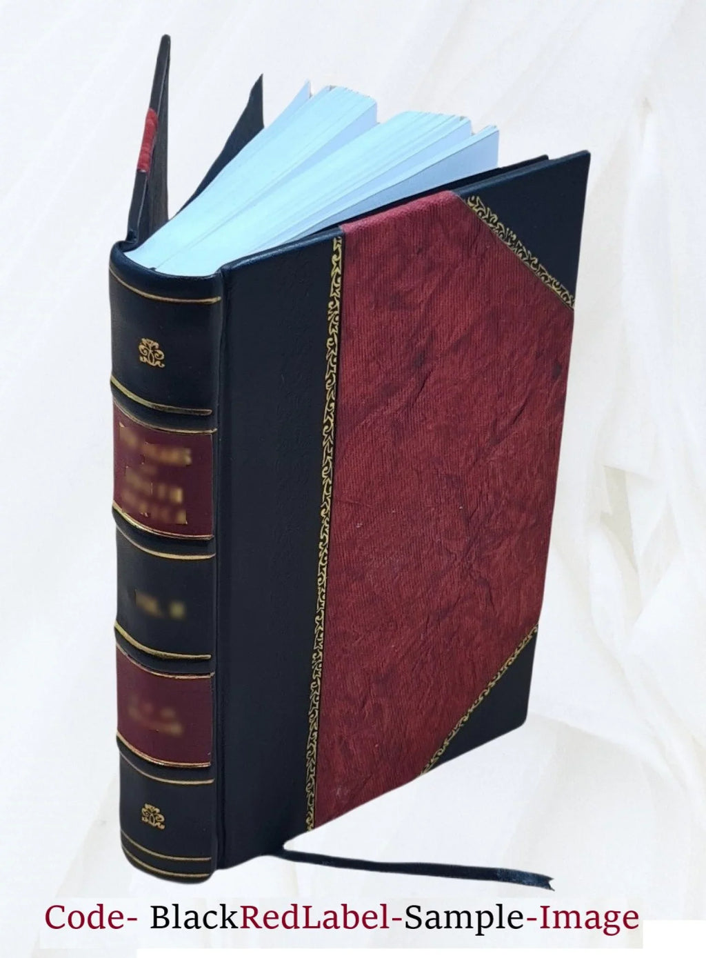 Michigan living - motor news. Volume v.7 1924-1925 1925 [Leather Bound]
