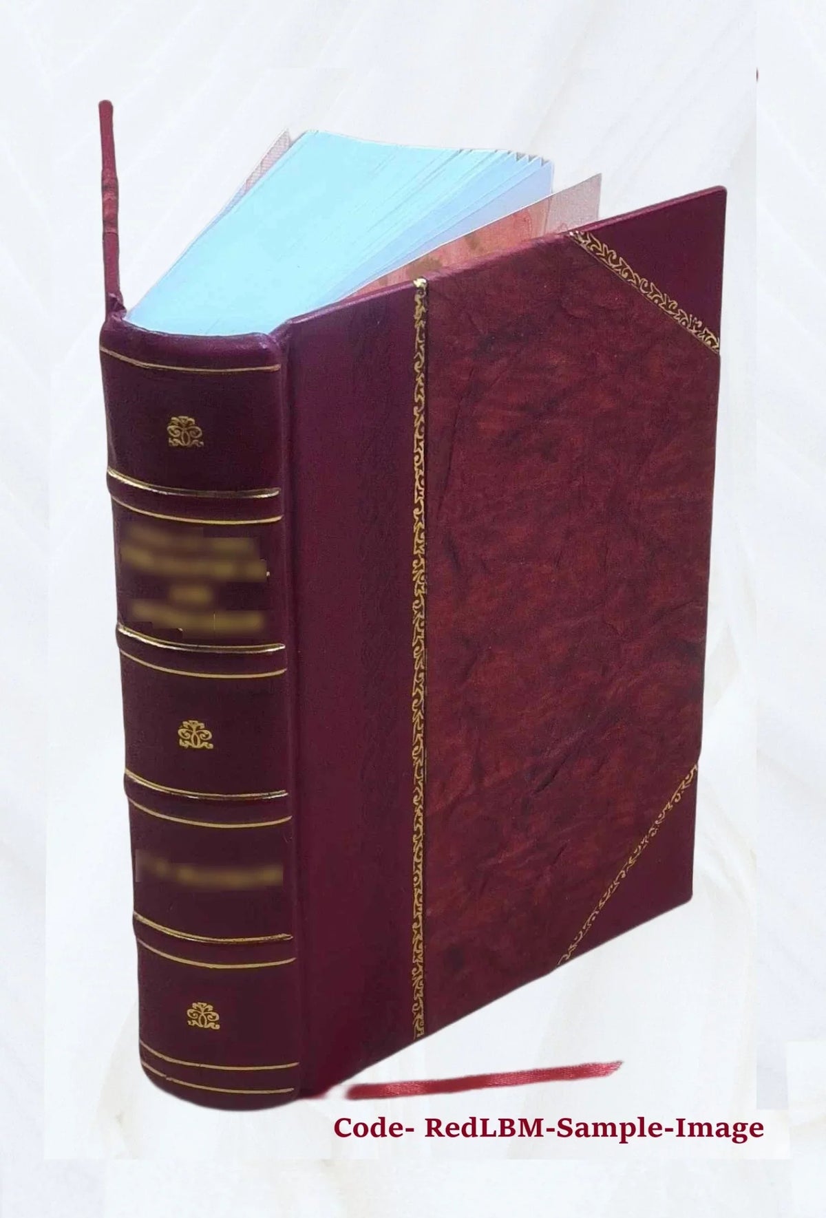 Mondo simbolico, o sia, Vniuersita' d'imprese scelte, spiegate, ed' illustrate con sentenze ed eruditioni sacre e profane 1653 [Leather Bound]